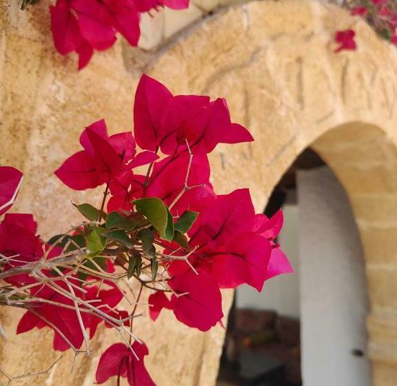 اتاق استاندارد, Riad Eucalyptus