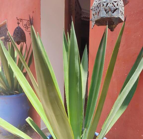 اتاق استاندارد, Riad Eucalyptus