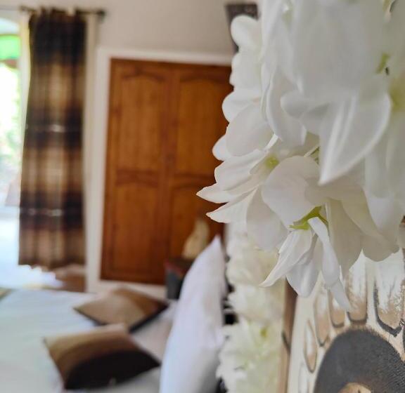 اتاق استاندارد سه نفره, Riad Eucalyptus