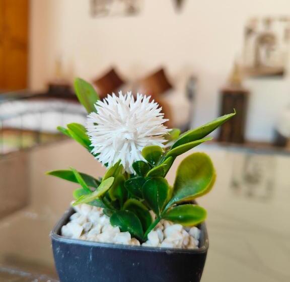 Номер Стандарт Трехместный, Riad Eucalyptus