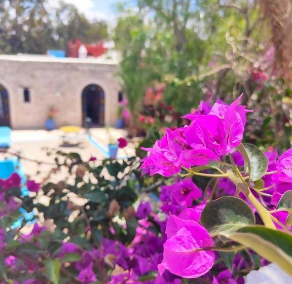 اتاق استاندارد سه نفره, Riad Eucalyptus