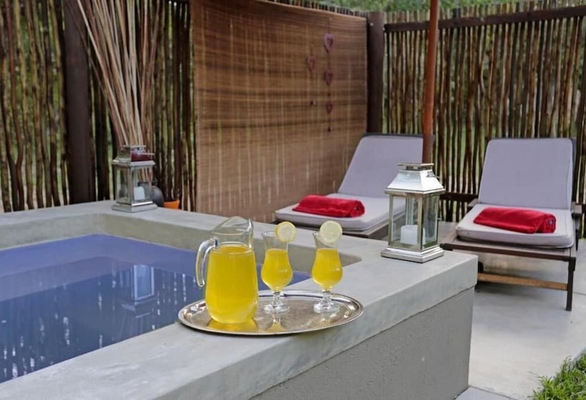 豪华房间, Turaco Lodge   No Loadshedding