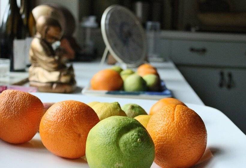 غرفة قياسية, Wittedrift Manor House