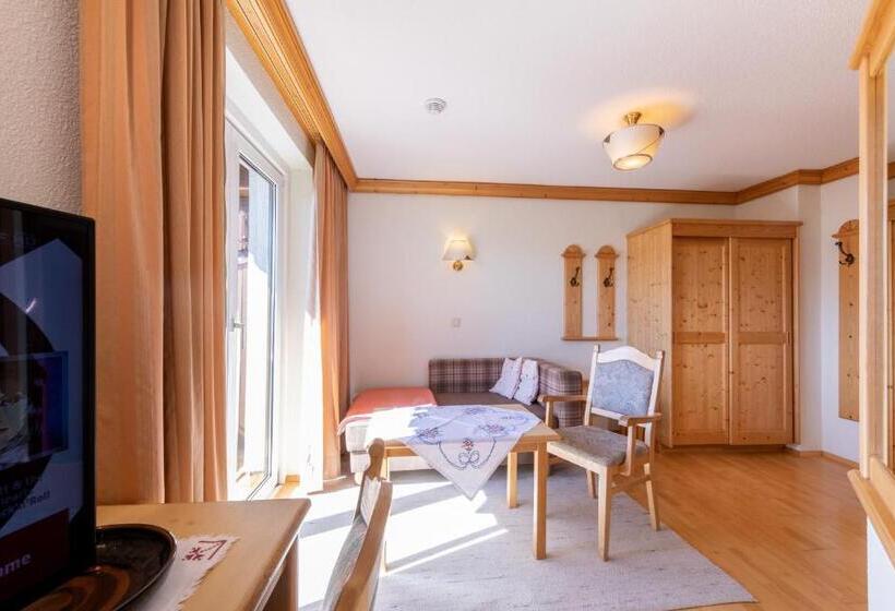 小型套房带阳台, Alpenhof