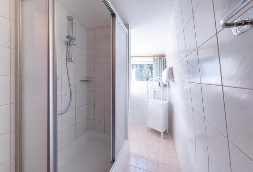 带阳台套房, Alpenhof