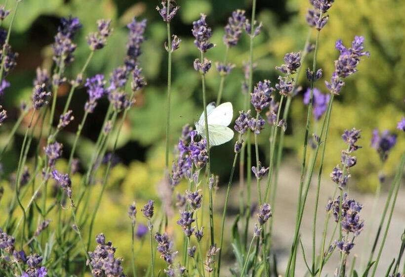 سوییت, Chambre D'hôtes CitaBel'Air