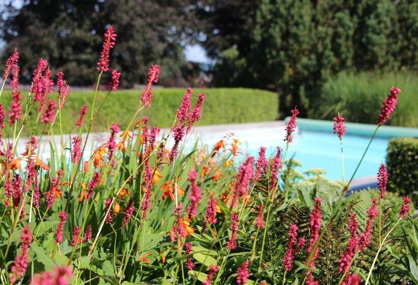 سوییت, Chambre D'hôtes CitaBel'Air