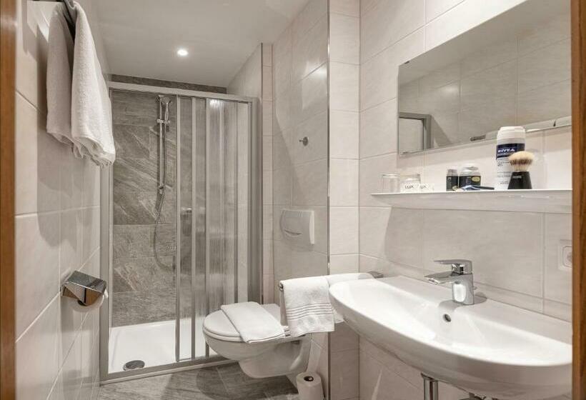 스탠다드 룸, Alpenhof