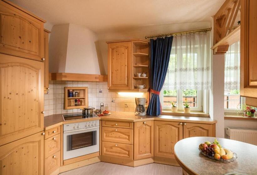 آپارتمان 2 خوابه با بالکن, Alpenhof