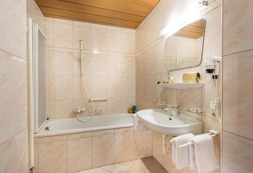 디럭스 룸, Alpenhof