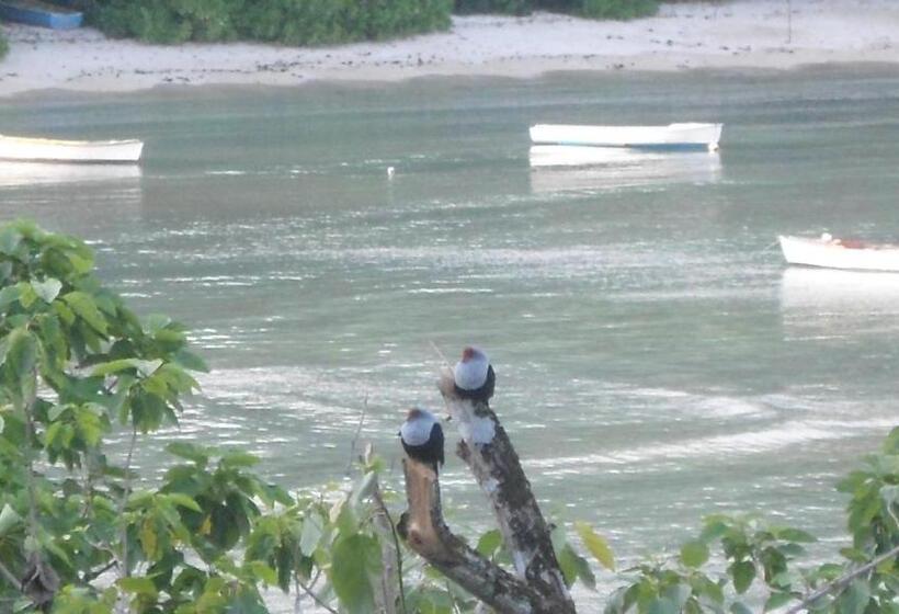 اتاق اجرایی با چشمانداز دریا, Seychelles