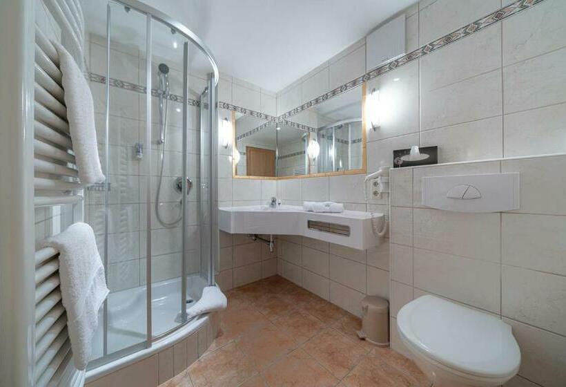 バルコニー付きスタンダードルーム, Burghotel Alpenglühn