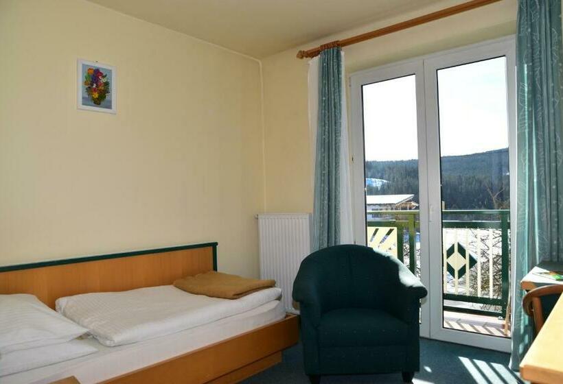 带阳台的标准单人间, Florianihof