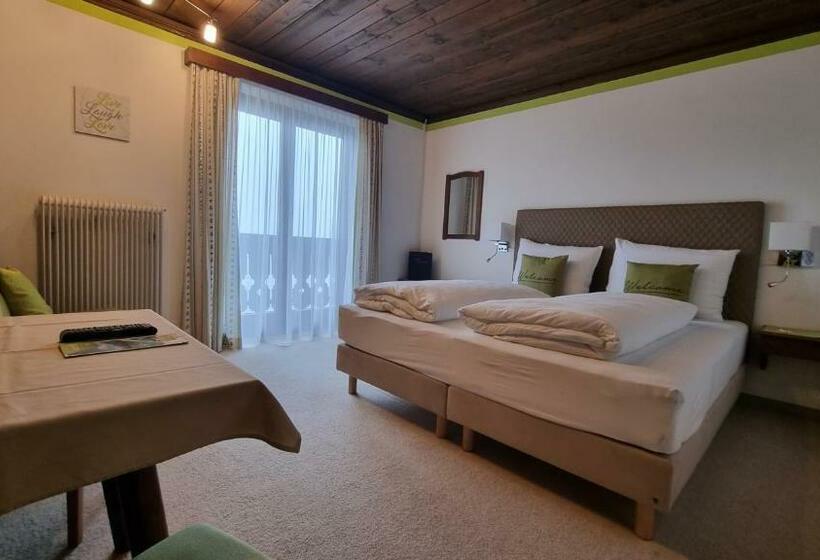 Номер Стандарт с Балконом, Pension Schöne Aussicht