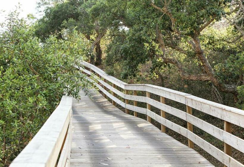 סטודיו סטנדרט עם מרפסת, Monte Da Vilarinha