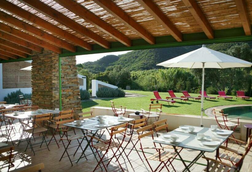 סטודיו סטנדרט עם מרפסת, Monte Da Vilarinha