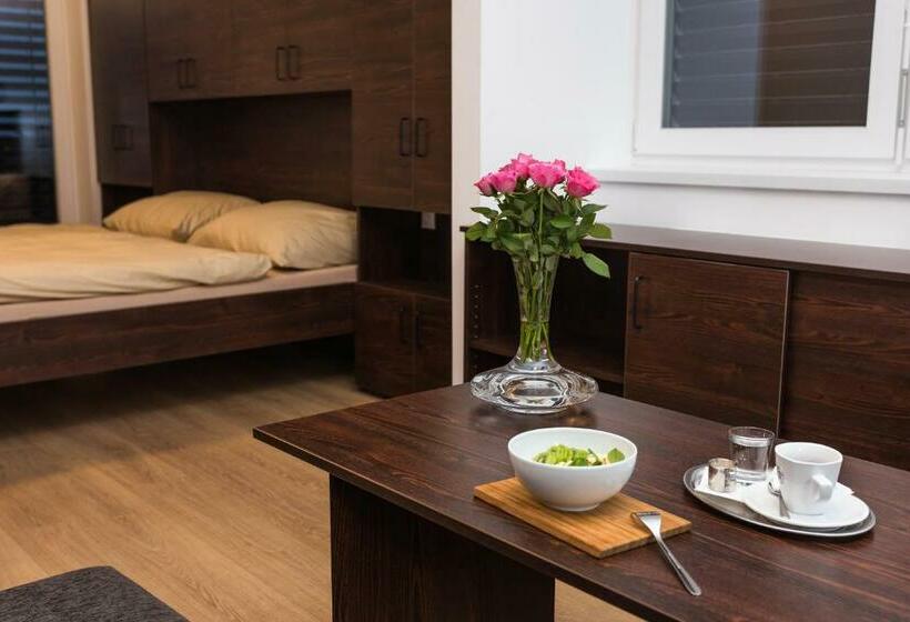 Standard Stúdiószoba Franciaággyal King Size, Barok Hotel And Apartments