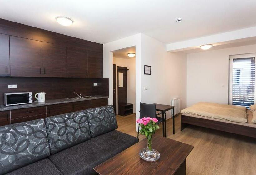 استودیو استاندارد با تخت کینگ, Barok Hotel And Apartments