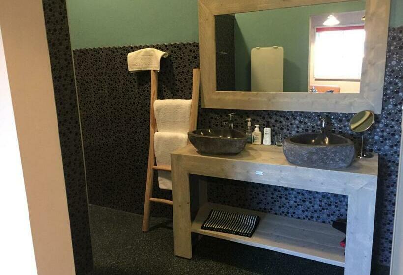 Номер Стандарт, B&b Antiqua & Qook