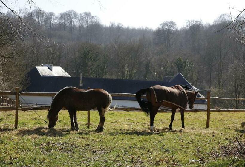 가든 전망 스위트, B&b Hippo Droom