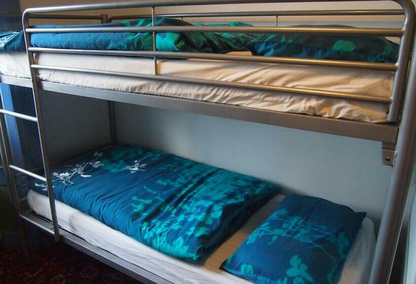 스탠다드 4인용 룸 공용 욕실, Cashel Holiday Hostel