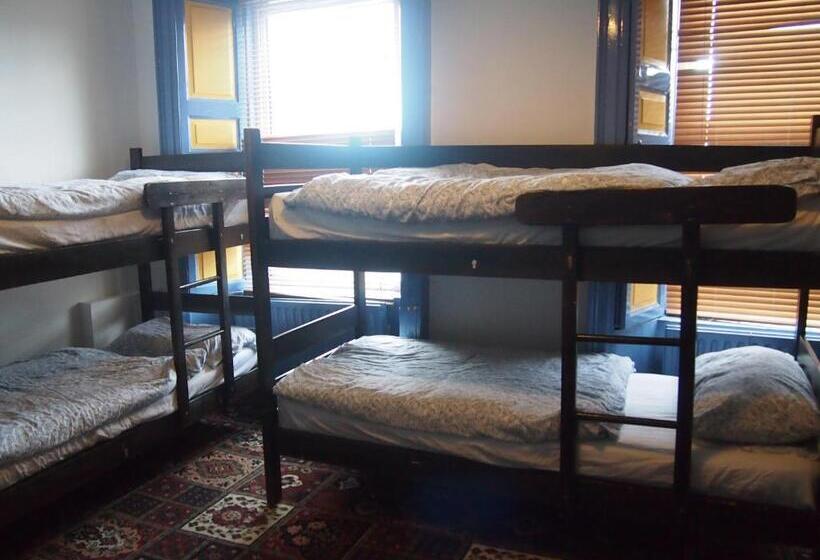 공용 욕실 구비 공동 객실 내의 침대, Cashel Holiday Hostel