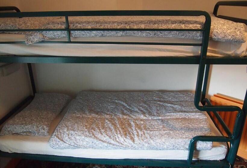 스탠다드 룸 공동 욕실, Cashel Holiday Hostel