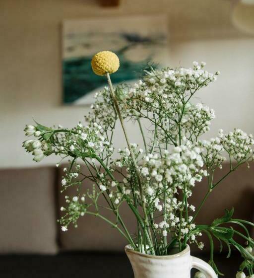 سوییت, Bio Landpension Monika