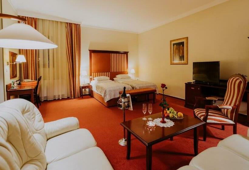 اتاق اجرایی, Boutique Hotel Maraton