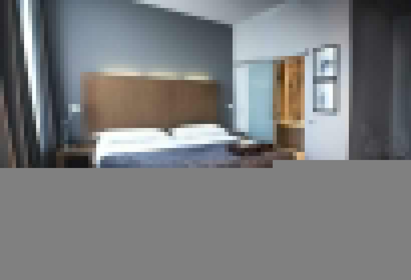 Номер Стандарт, Domus