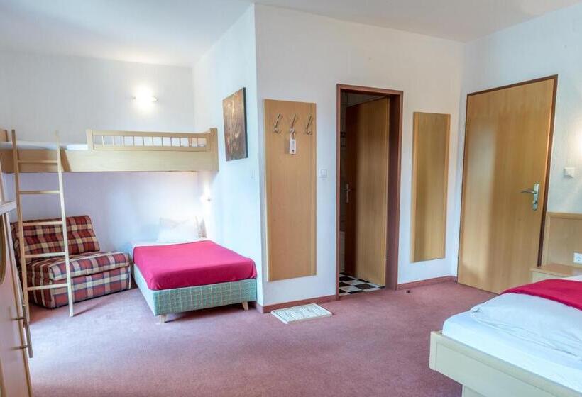 غرفة قياسية رباعية, Kärntnerhof