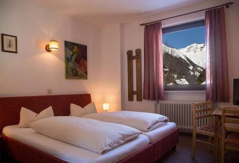 Номер Стандартный с Видом, Kärntnerhof