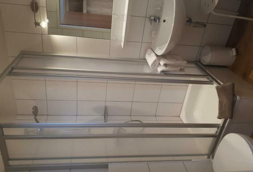 חדר סטנדרט, Starjet