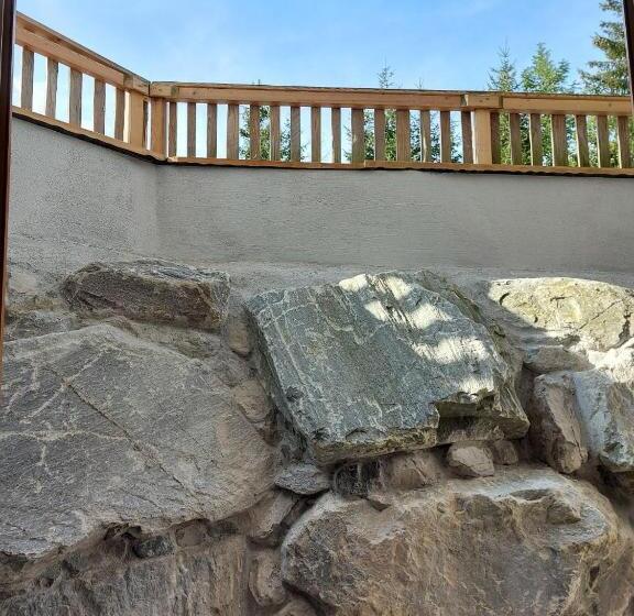 חדר בסיסי, Starjet