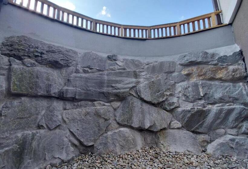 חדר סטנדרט לשלושה, Starjet