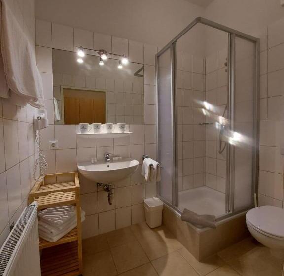 חדר סטנדרט לשלושה, Starjet