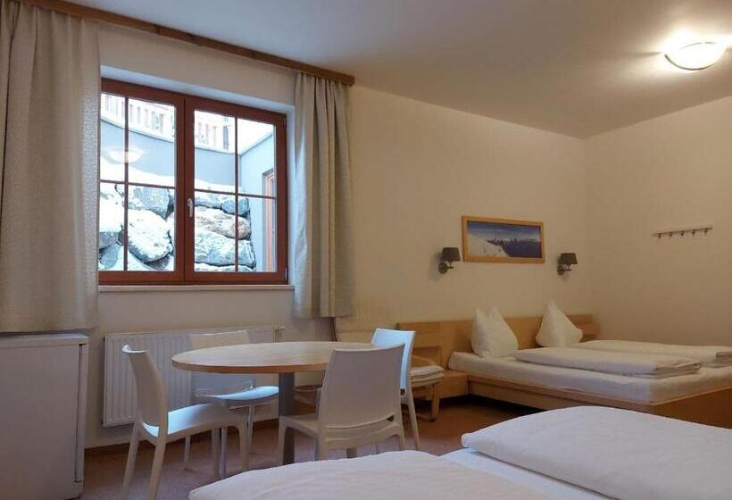 חדר סטנדרט לשלושה, Starjet