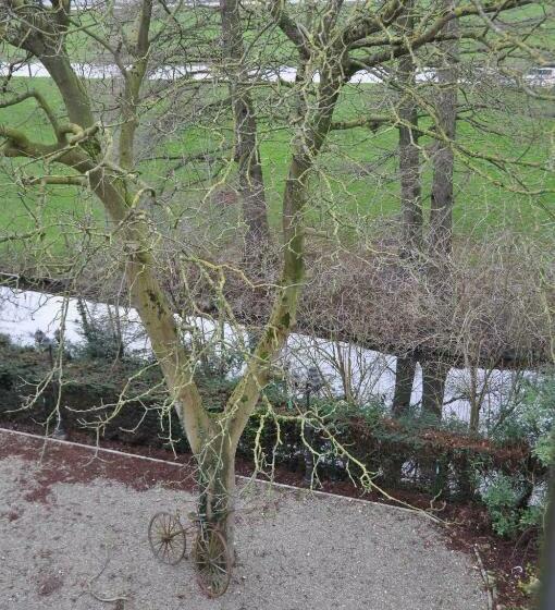 スタンダードルーム, T Bagientje