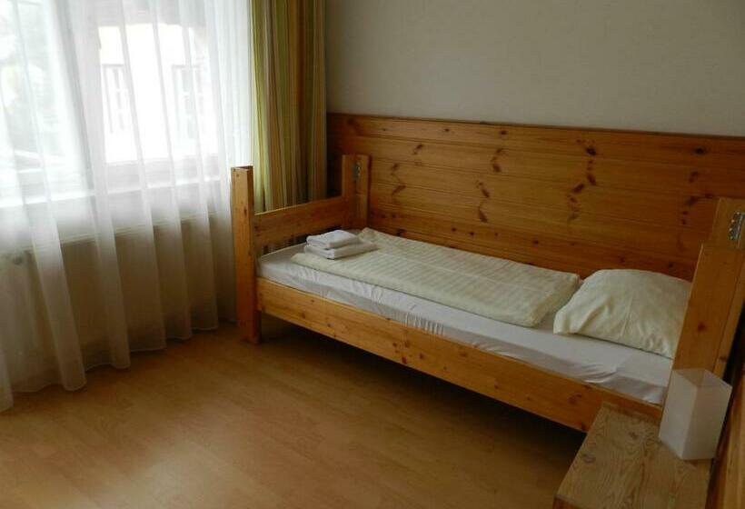 スタンダードシングルルーム, Youhey Am Wolfgangsee