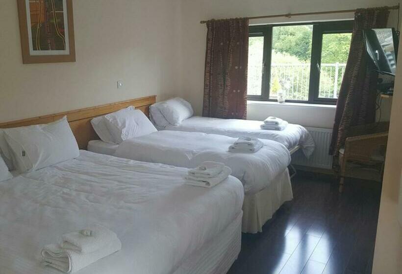 4인용 수피리어 룸, The Meetings B&b