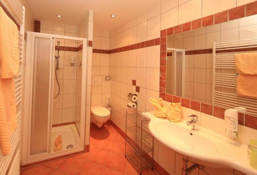 Номер Стандарт, Aparthotel Ramsau