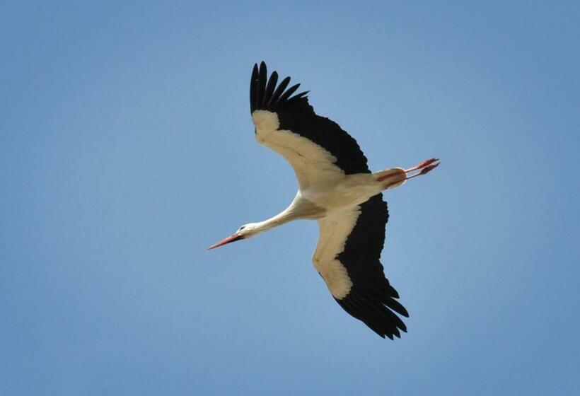 חדר דלוקס, B&b Aquavit