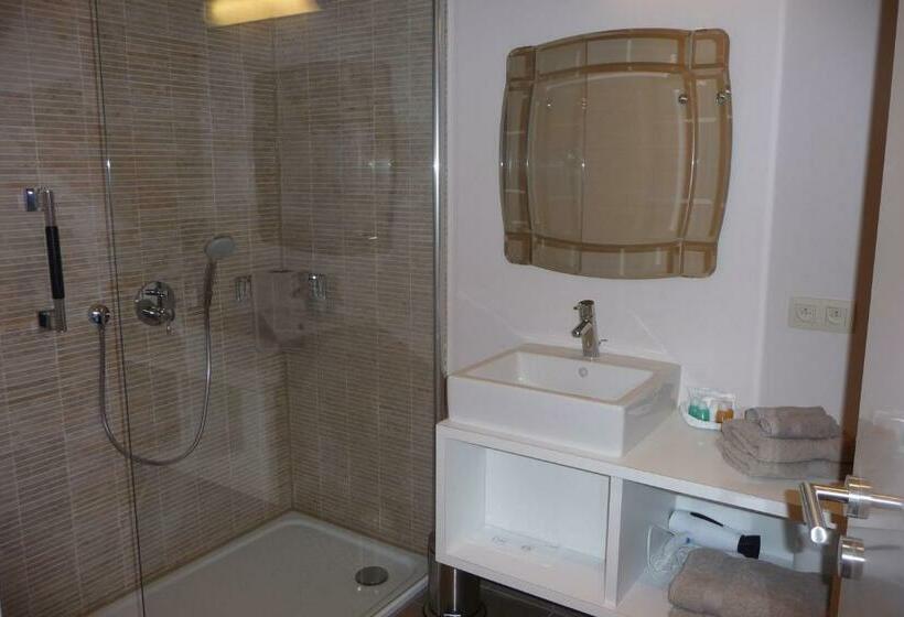 Номер Стандарт, B&b Riche Terre