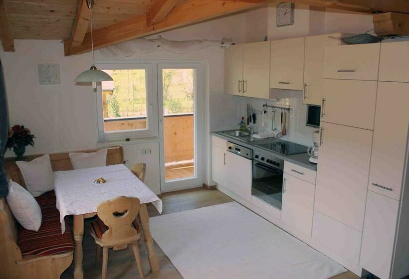 آپارتمان 2 خوابه با بالکن, Haus Senoner