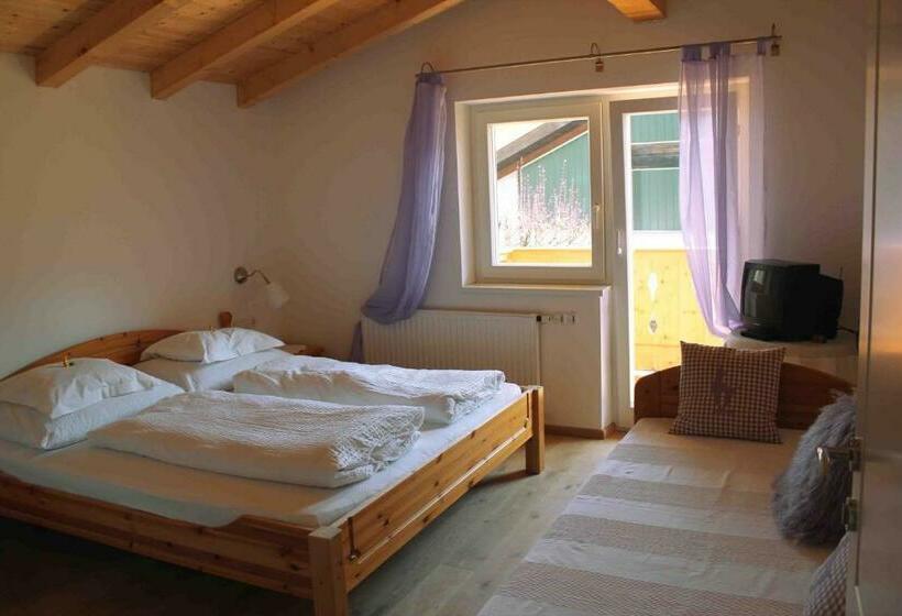 آپارتمان 2 خوابه با بالکن, Haus Senoner