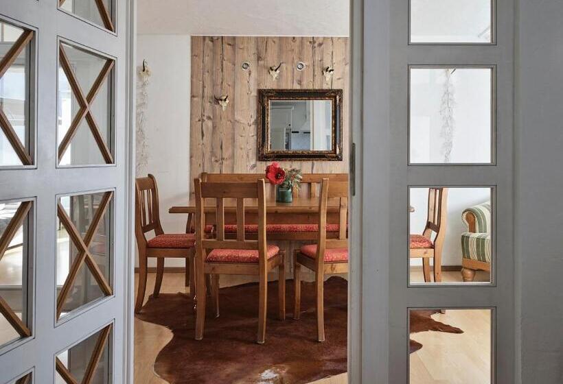 テラス付き1ベッドルームアパートメント, Garni Pinzgau, Bernd Hüttl