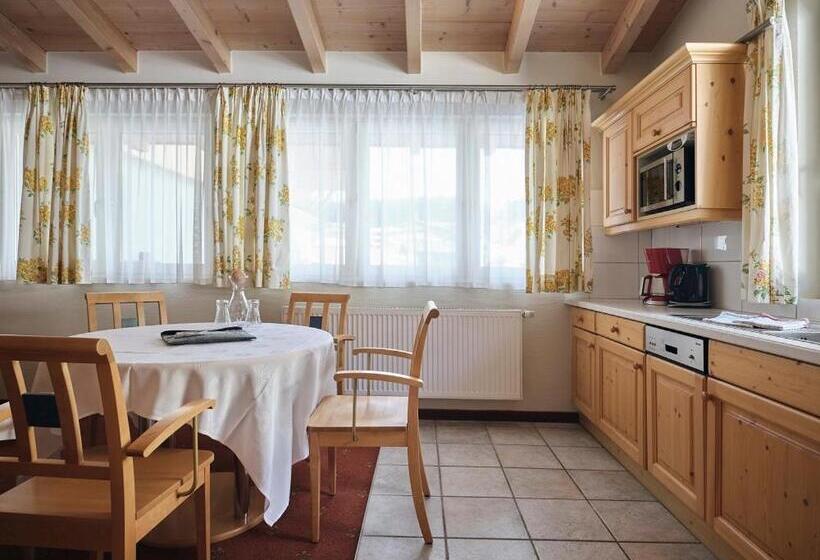 テラス付き1ベッドルームアパートメント, Garni Pinzgau, Bernd Hüttl