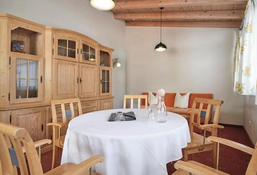 テラス付き1ベッドルームアパートメント, Garni Pinzgau, Bernd Hüttl