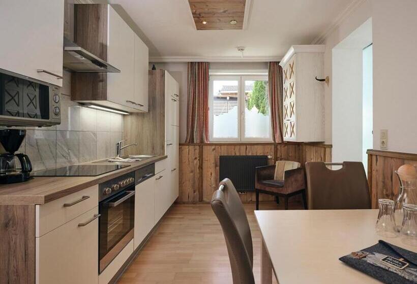 テラス付き1ベッドルームアパートメント, Garni Pinzgau, Bernd Hüttl