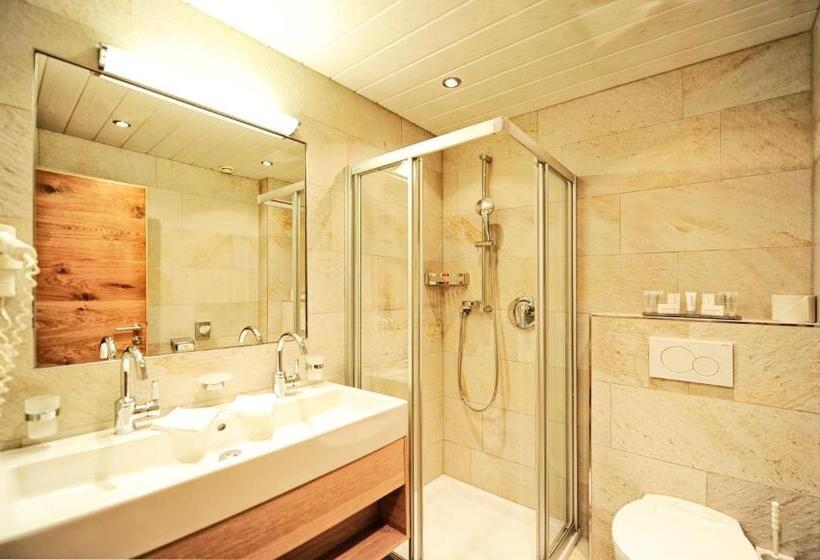 Номер Стандарт, Salnerhof Superior Lifestyle Resort